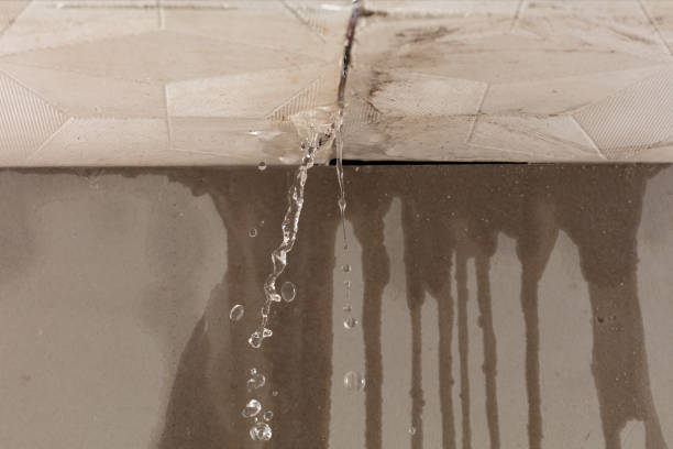 Professional Structural Drying technician working in Humptulips, WA